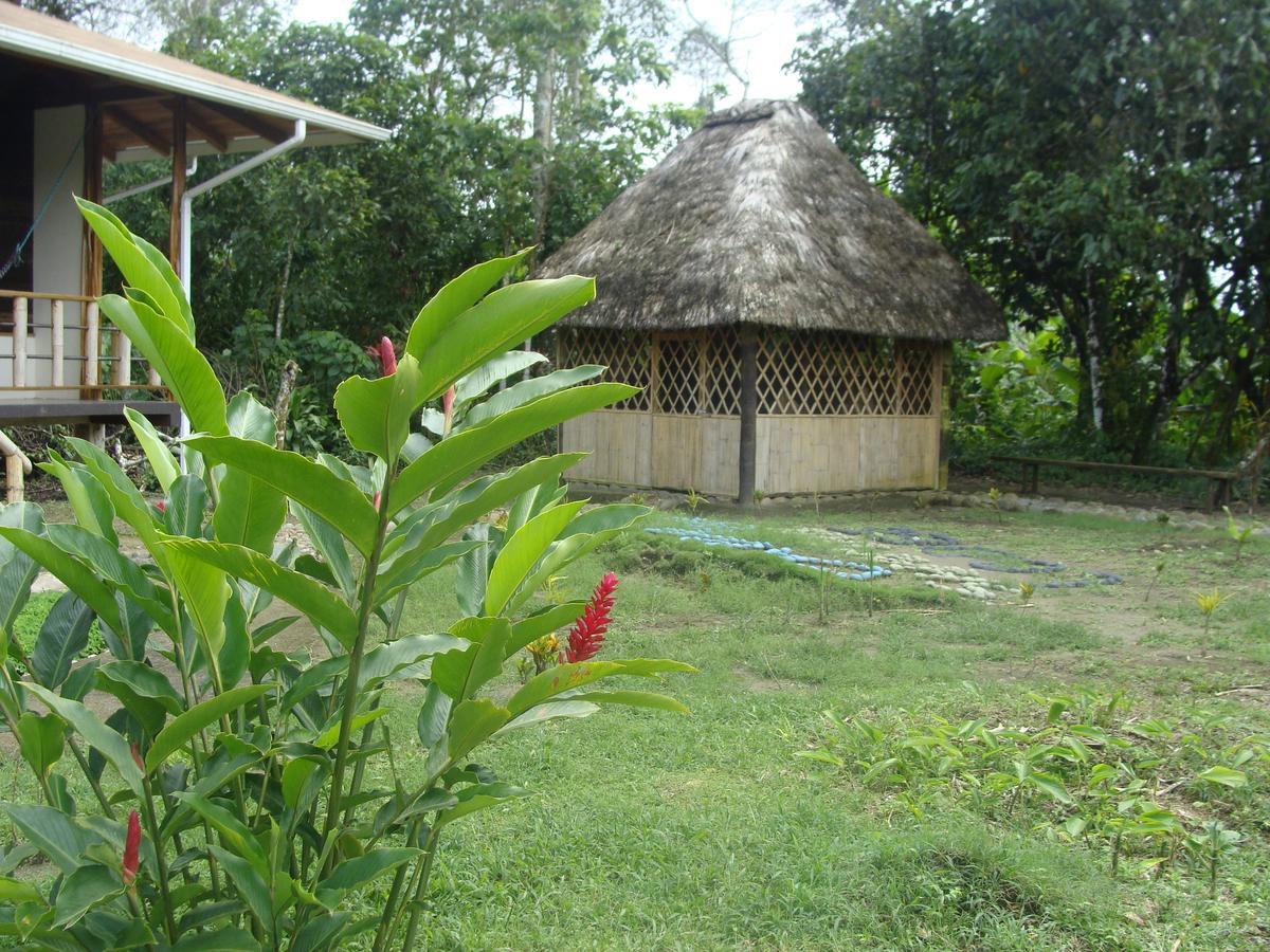 Shaman Lodge Río Arajuno Kültér fotó